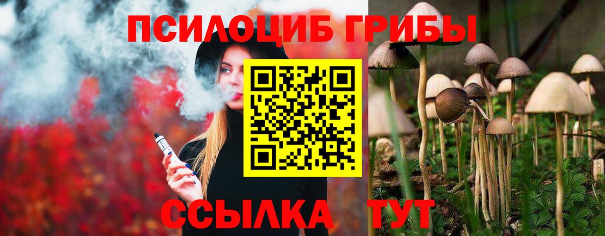 хочу   Галлюциногенные грибы Psilocybe  Вход с VPN  Истра  Галлюциногенные грибы MAGIC MUSHROOMS 